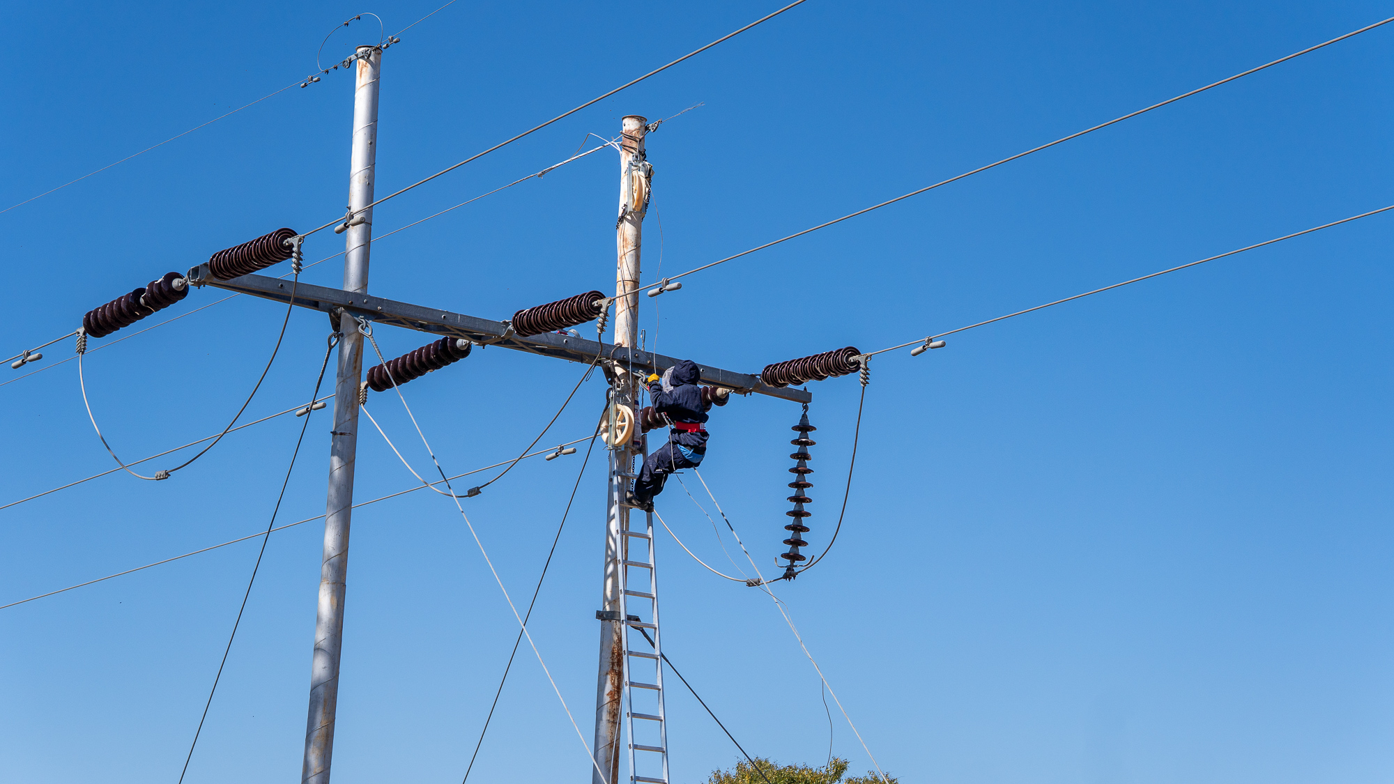 Procurement & Tenders